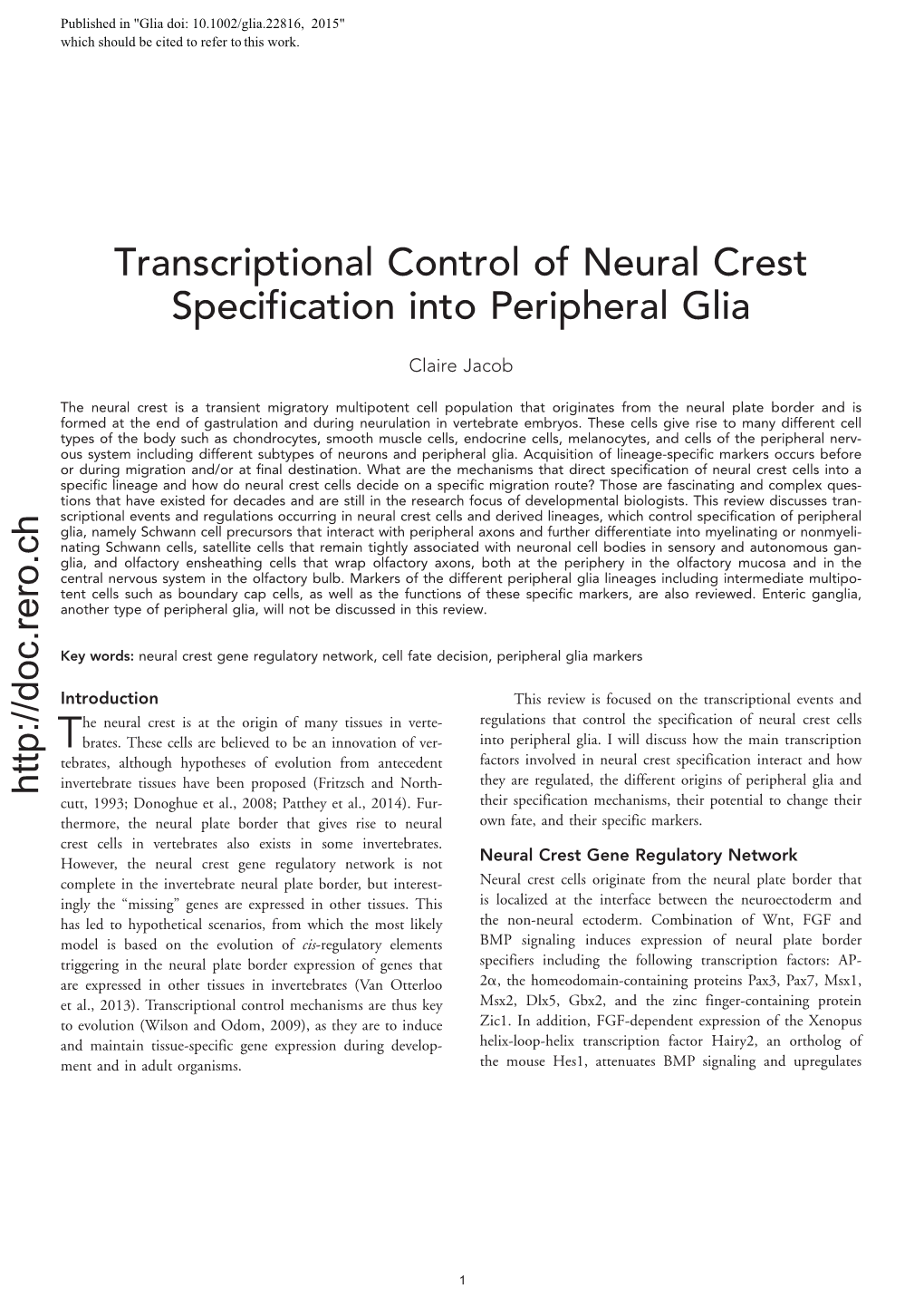 Transcriptional Control of Neural Crest Specification Into Peripheral Glia
