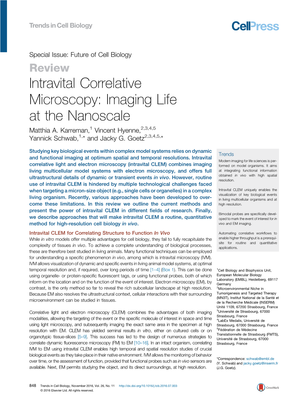 Intravital Correlative Microscopy