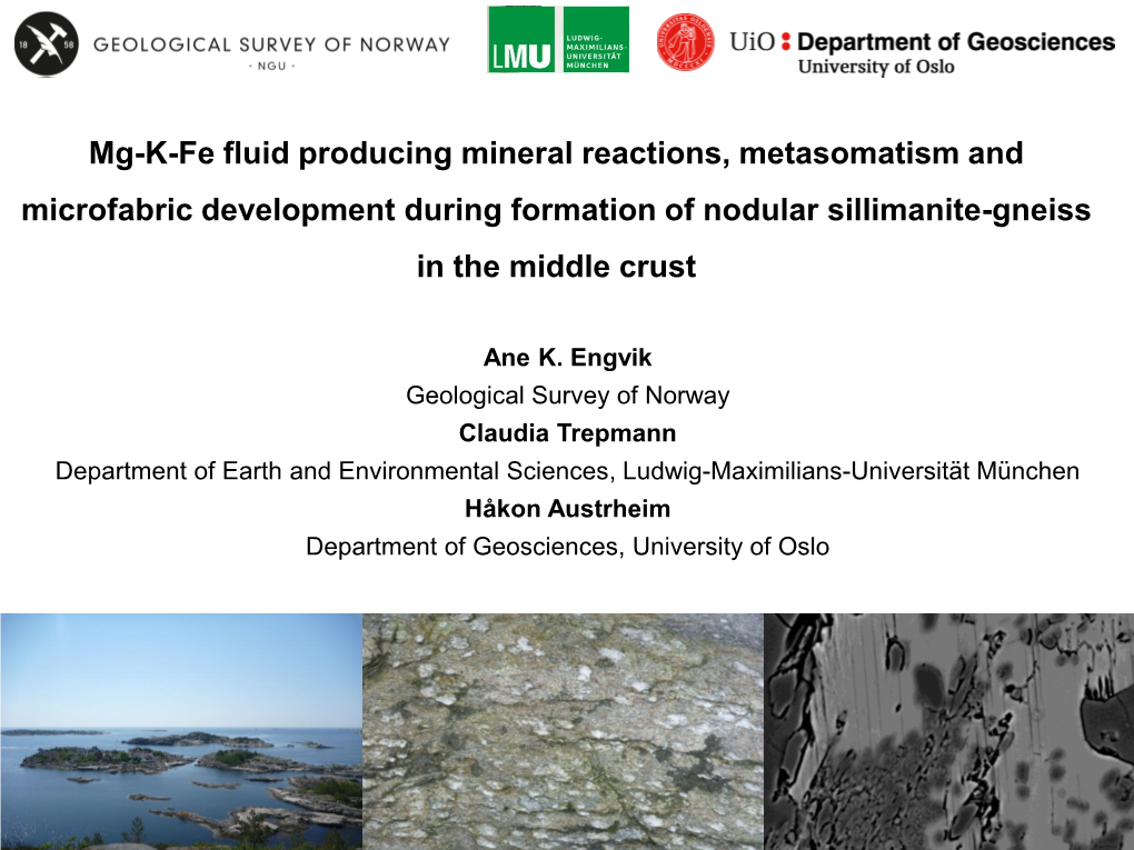 Mg-K-Fe Fluid Producing Mineral Reactions, Metasomatism and Microfabric Development During Formation of Nodular Sillimanite-Gneiss in the Middle Crust