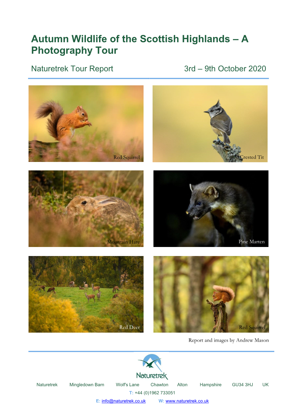 Autumn Wildlife of the Scottish Highlands – a Photography Tour