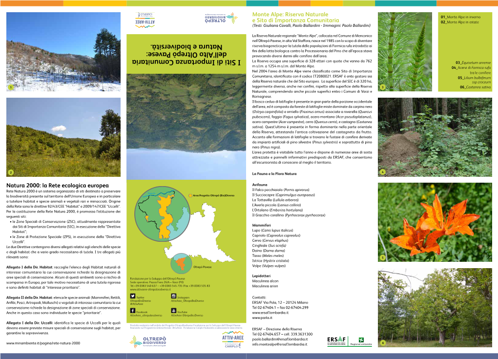 I Siti Di Importanza Comunitaria Dell'alto Oltrepò Pavese: Natura E Biodiversità