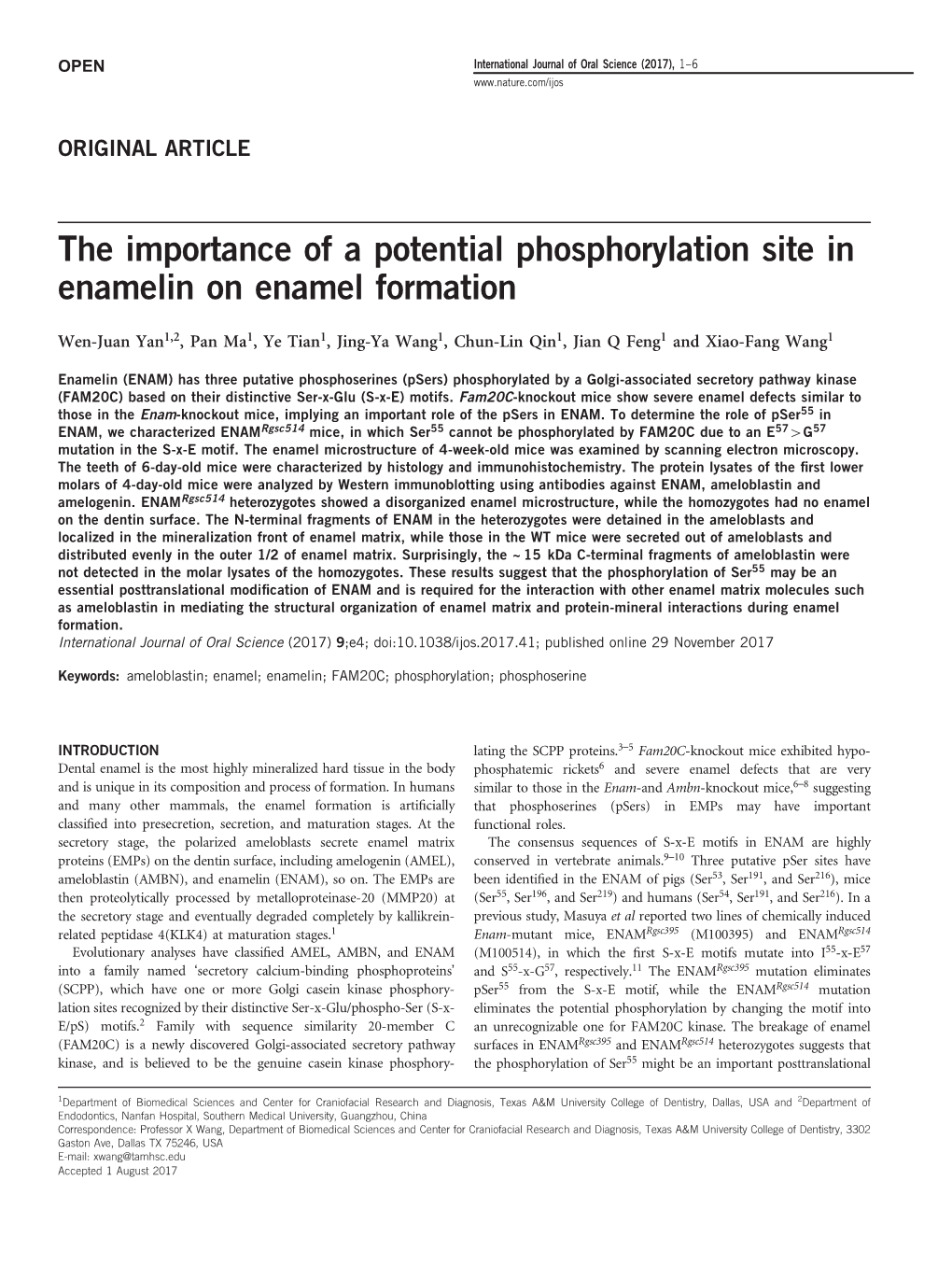 The Importance of a Potential Phosphorylation Site in Enamelin on Enamel Formation