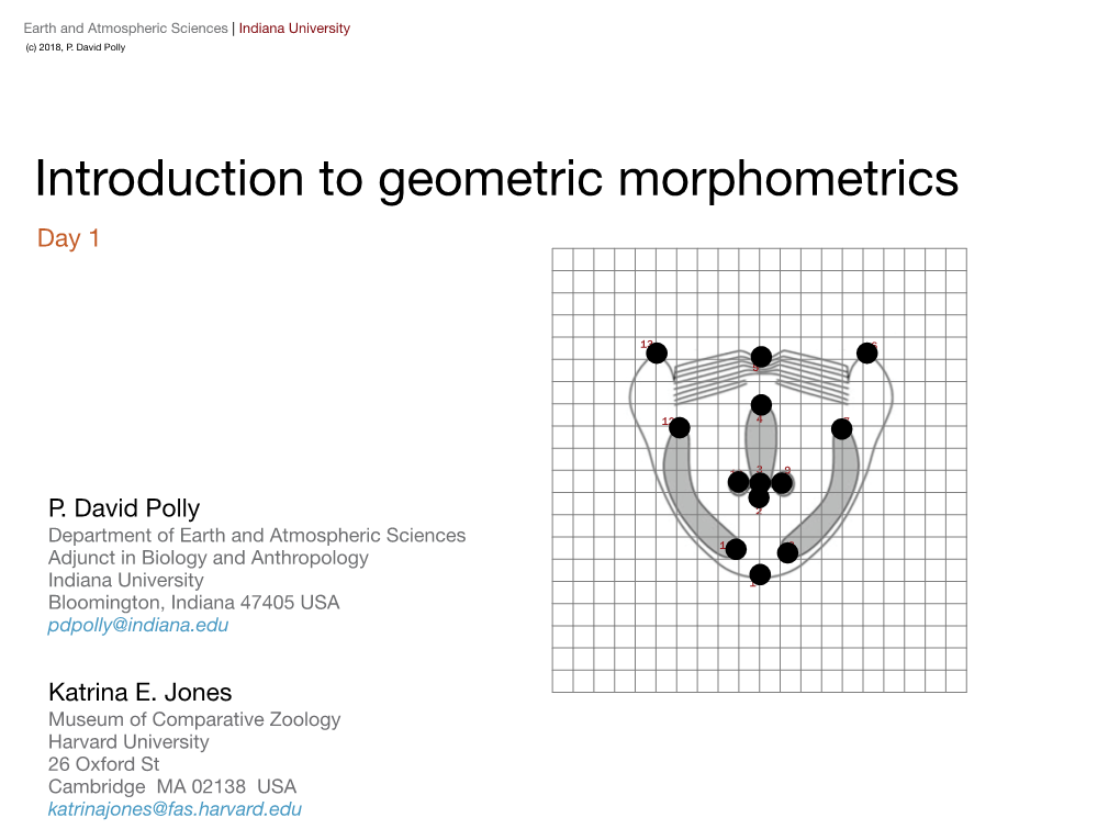 Introduction to Geometric Morphometrics Day 1