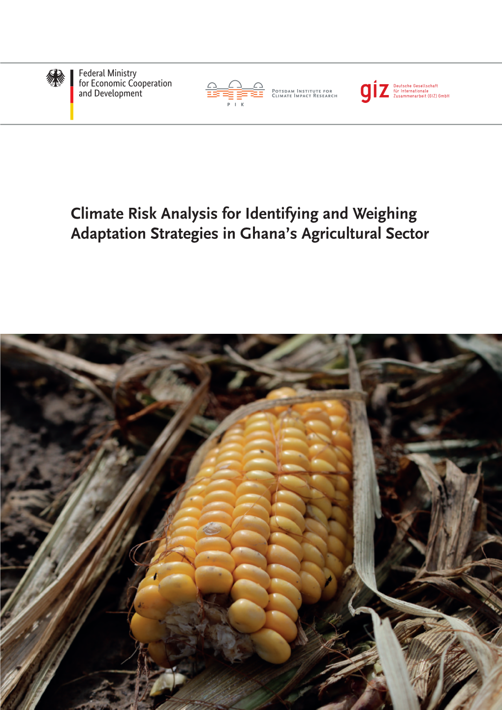 Climate Risk Analysis for Identifying and Weighing Adaptation