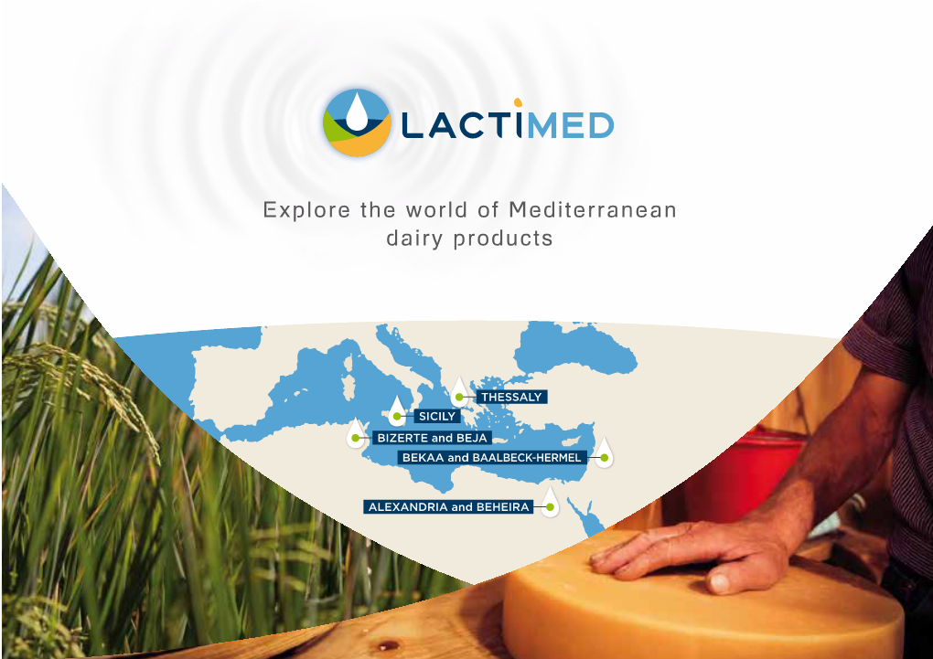 Explore the World of Mediterranean Dairy Products