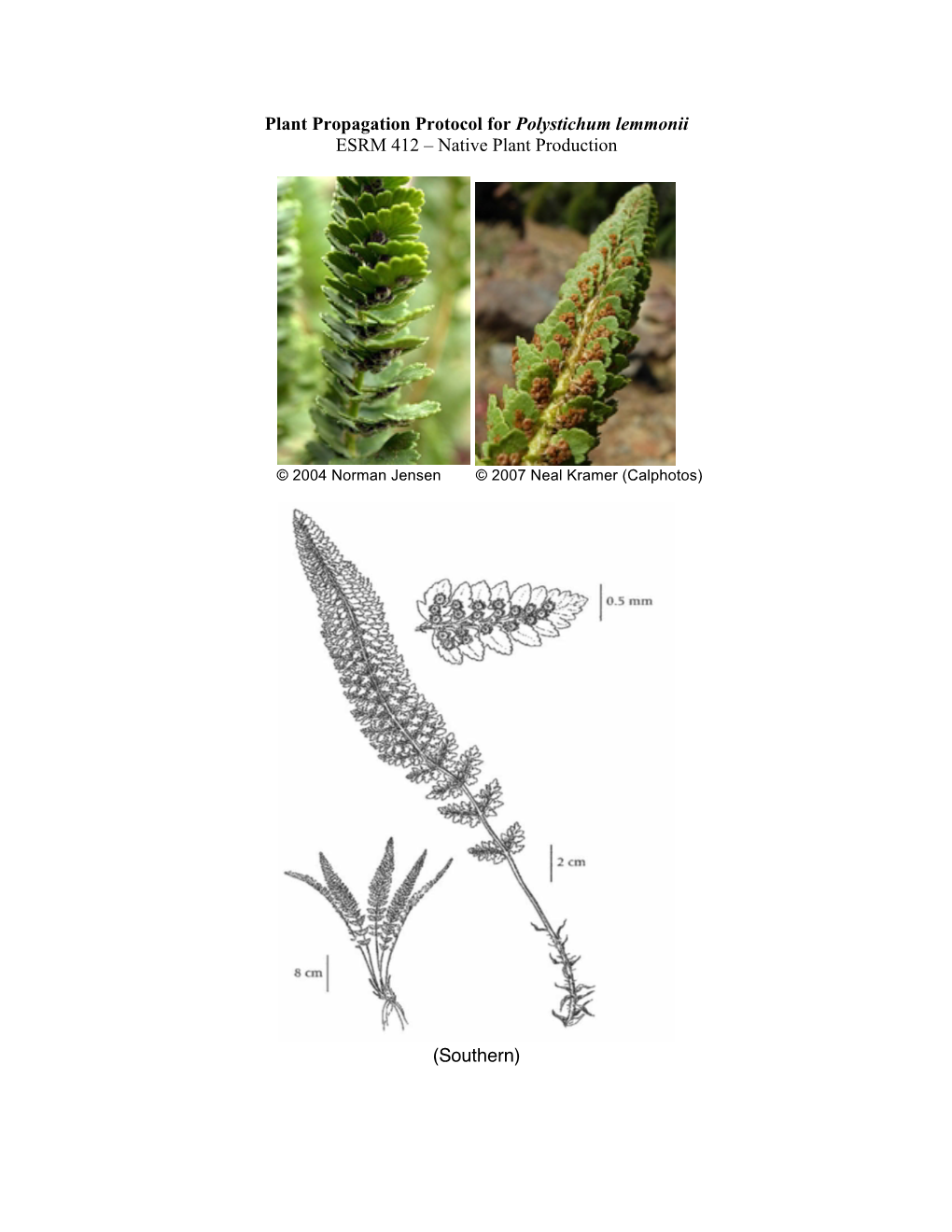 POLE5 Propagation