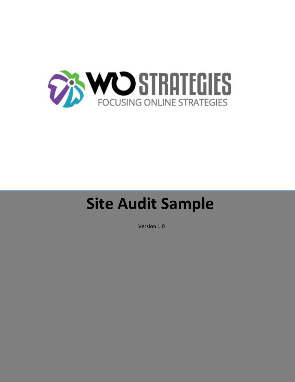 Site Audit Sample