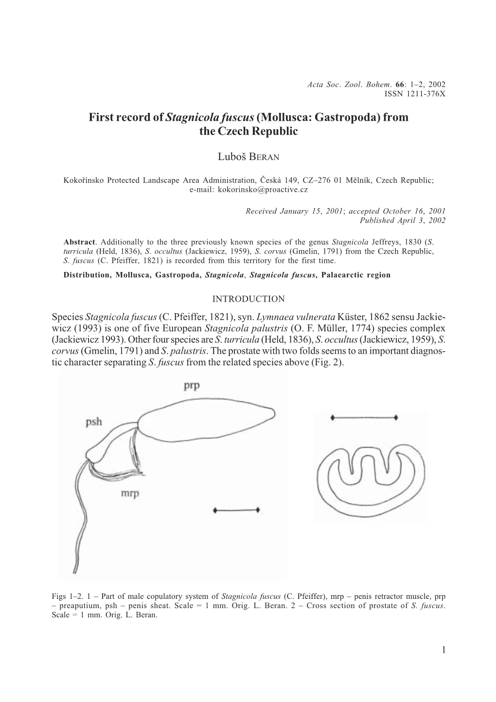 First Record of Stagnicola Fuscus (Mollusca: Gastropoda) from the Czech Republic