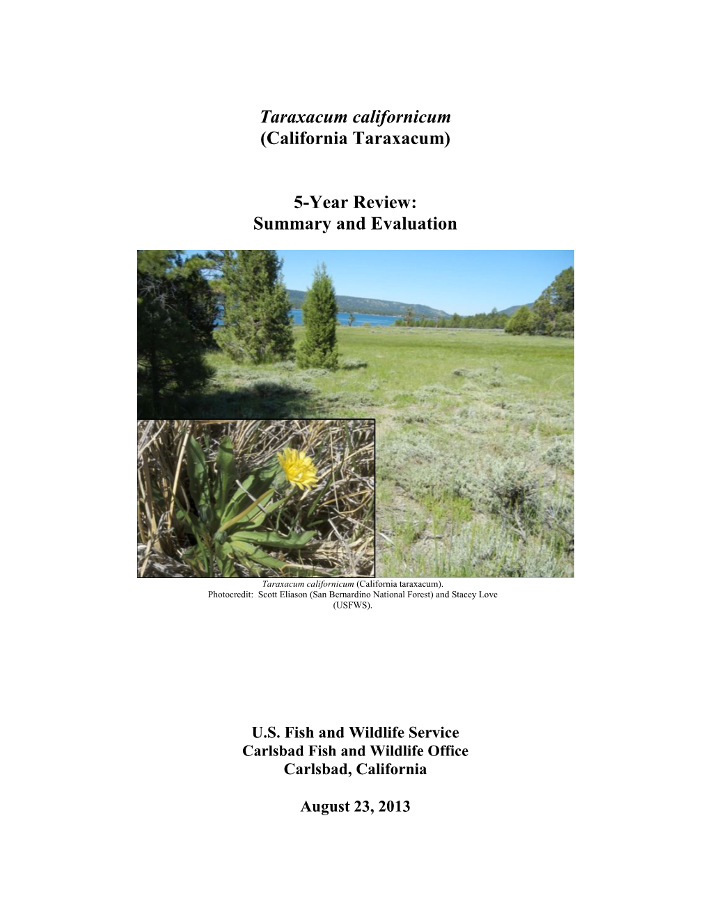 (California Taraxacum) 5-Year Review: Summary and Evaluation