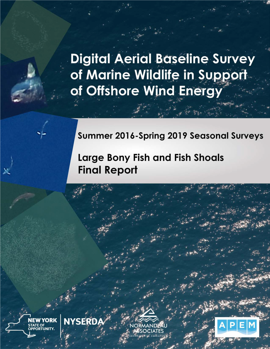 Digital Aerial Baseline Survey of Marine Wildlife in Support of Offshore Wind Energy Summer 2016–Spring 2019 Seasonal Surveys Large Bony Fish and Fish Shoals