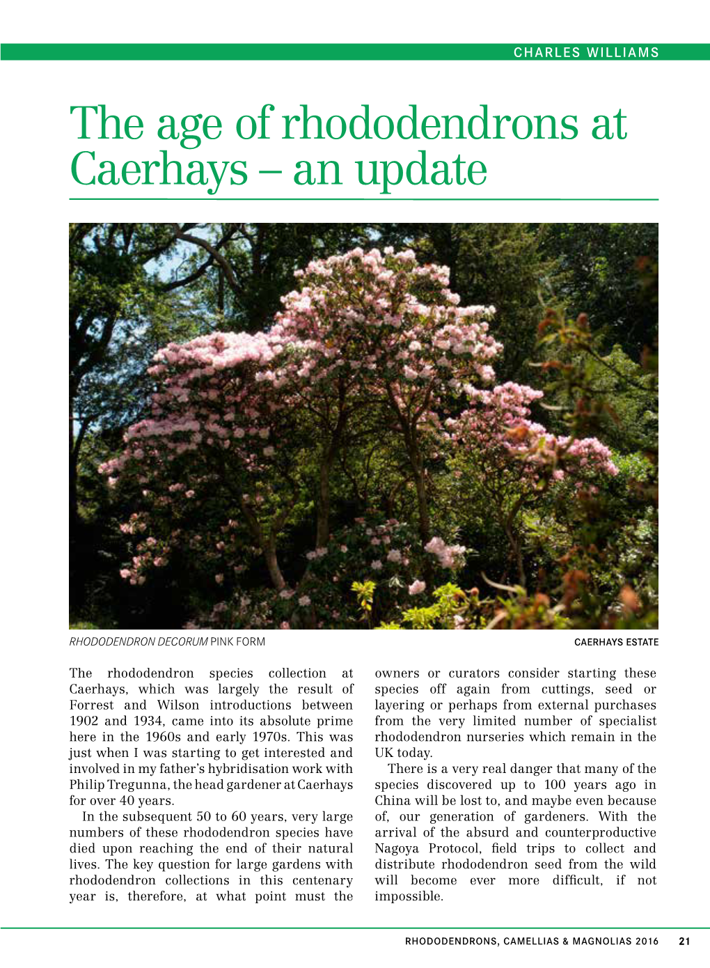 The Age of Rhododendrons at Caerhays – an Update