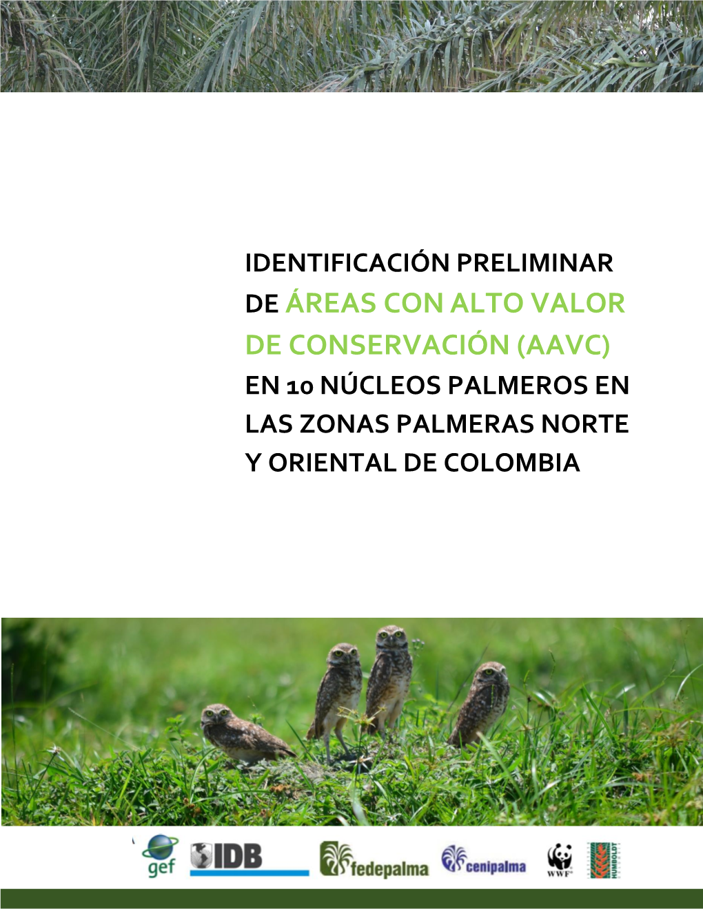 Identificación Preliminar De Áreas Con Alto Valor De Conservación (Aavc) En 10 Núcleos Palmeros En Las Zonas Palmeras Norte Y Oriental De Colombia