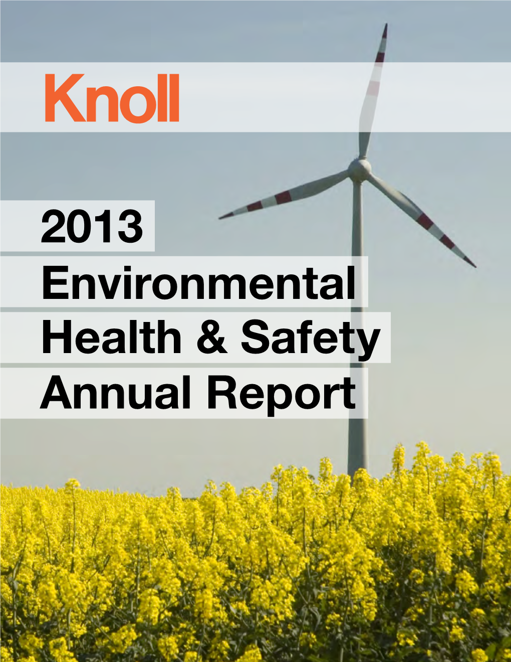 Environmental Annual Report Health & Safety 2013