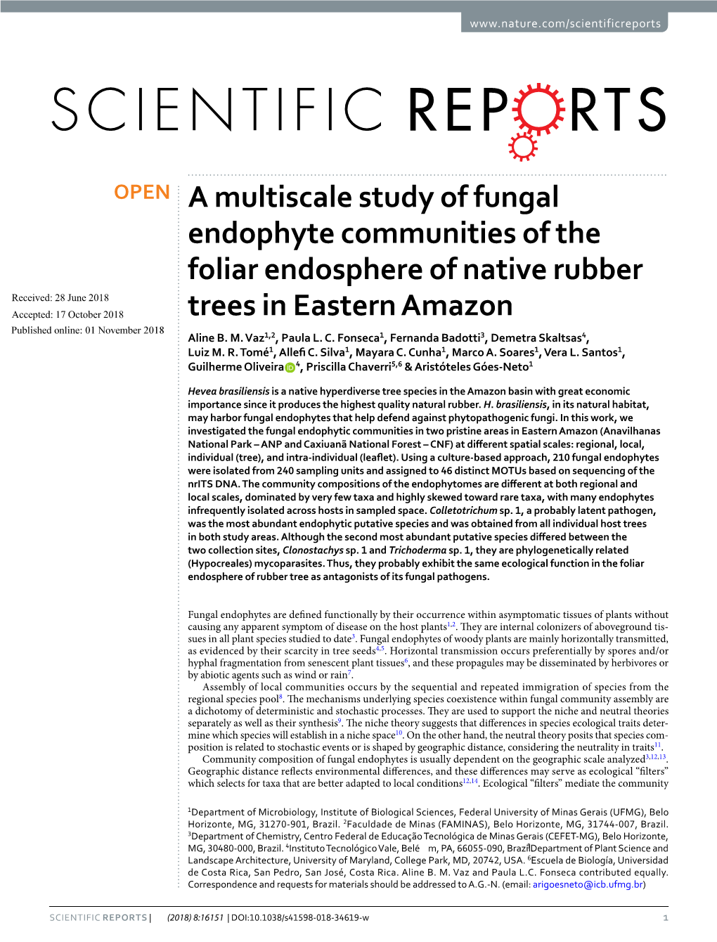 A Multiscale Study of Fungal Endophyte Communities of the Foliar