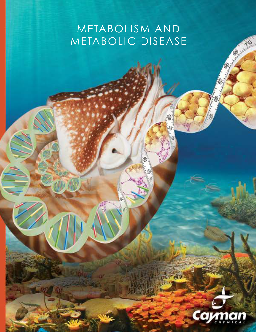 Metabolism and Metabolic Disease