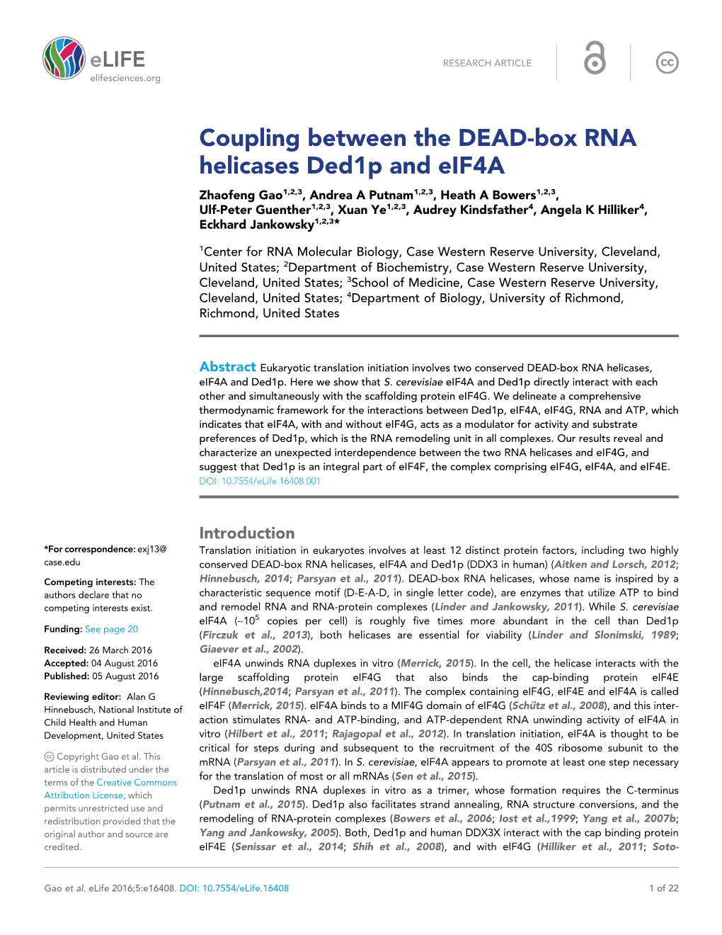 Coupling Between the DEAD-Box RNA Helicases Ded1p and Eif4a
