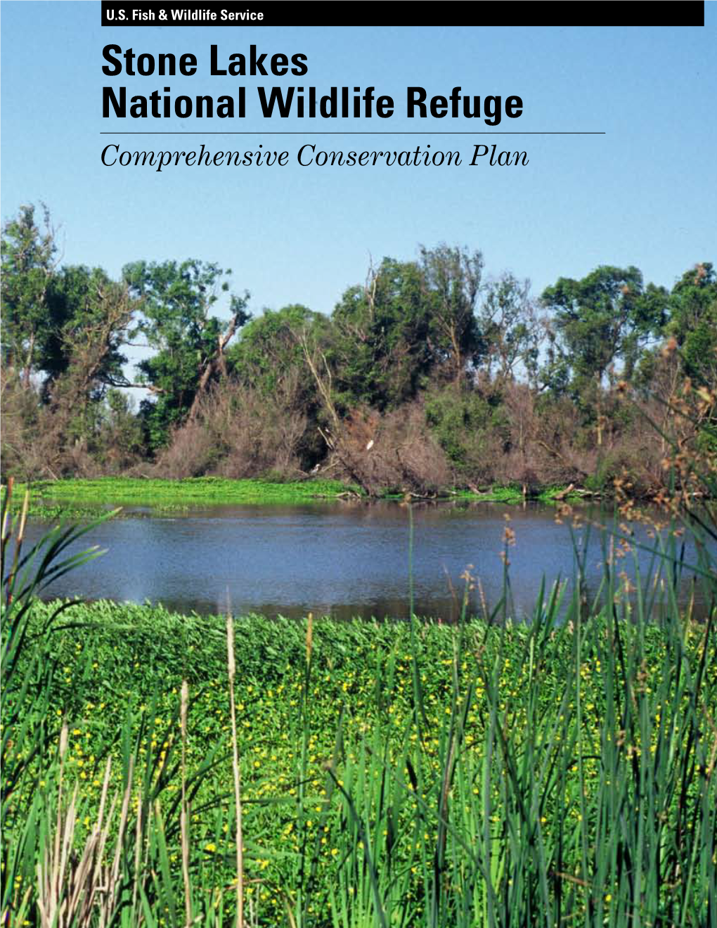 Stone Lakes National Wildlife Refuge Comprehensive Conservation Plan Vision Statement