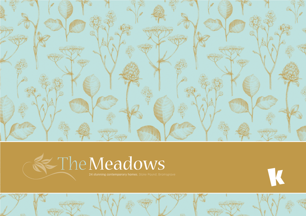 The Meadows New Houses Bromsgrove