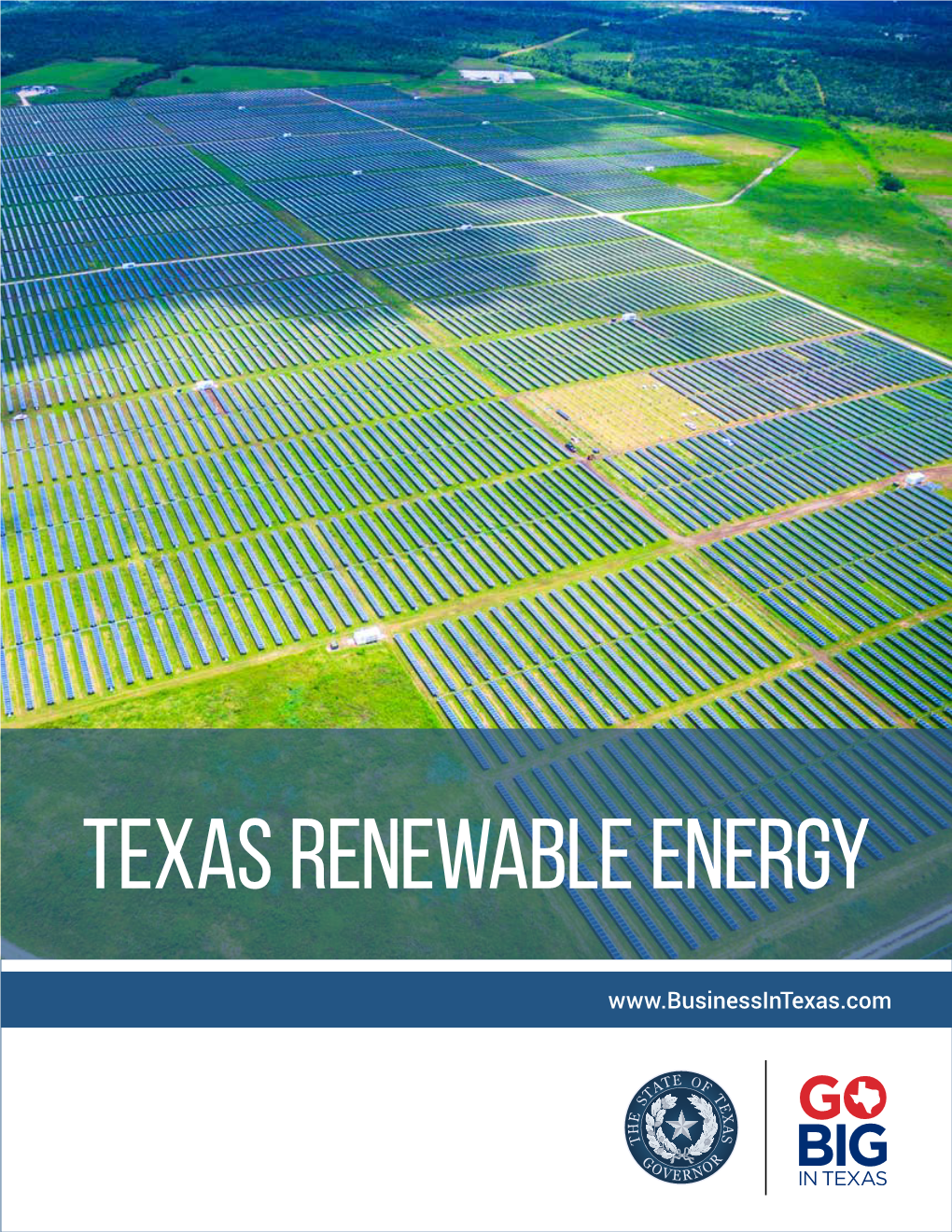 The Texas Renewable Energy Industry