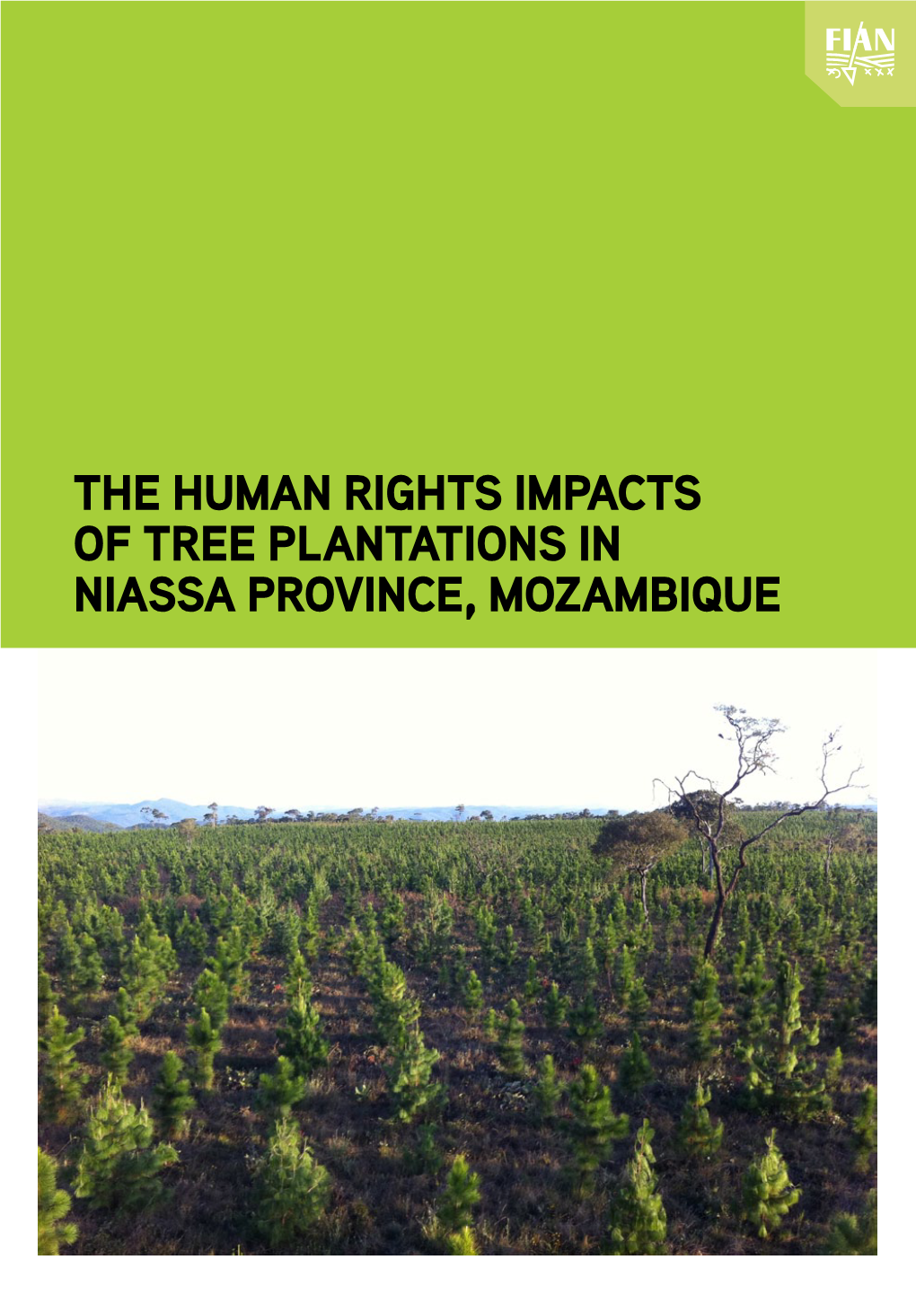 THE HUMAN RIGHTS IMPACTS of TREE PLANTATIONS in NIASSA PROVINCE, MOZAMBIQUE September 2012