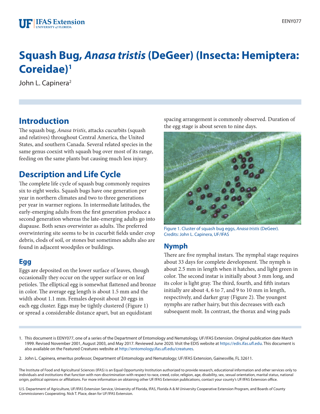 Squash Bug, Anasa Tristis (Degeer) (Insecta: Hemiptera: Coreidae)1 John L