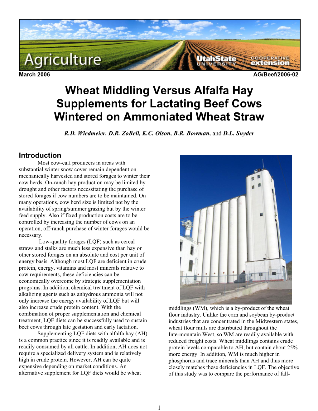 Wheat Middling Versus Alfalfa Hay Supplements for Lactating Beef Cows Wintered on Ammoniated Wheat Straw