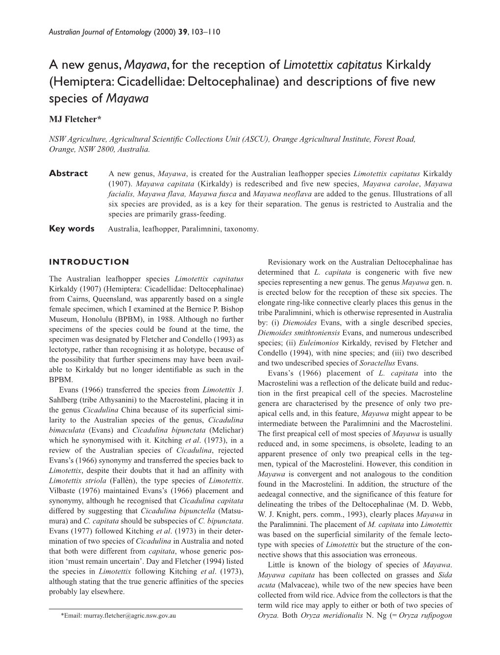 A New Genus,Mayawa, for the Reception of Limotettix Capitatus