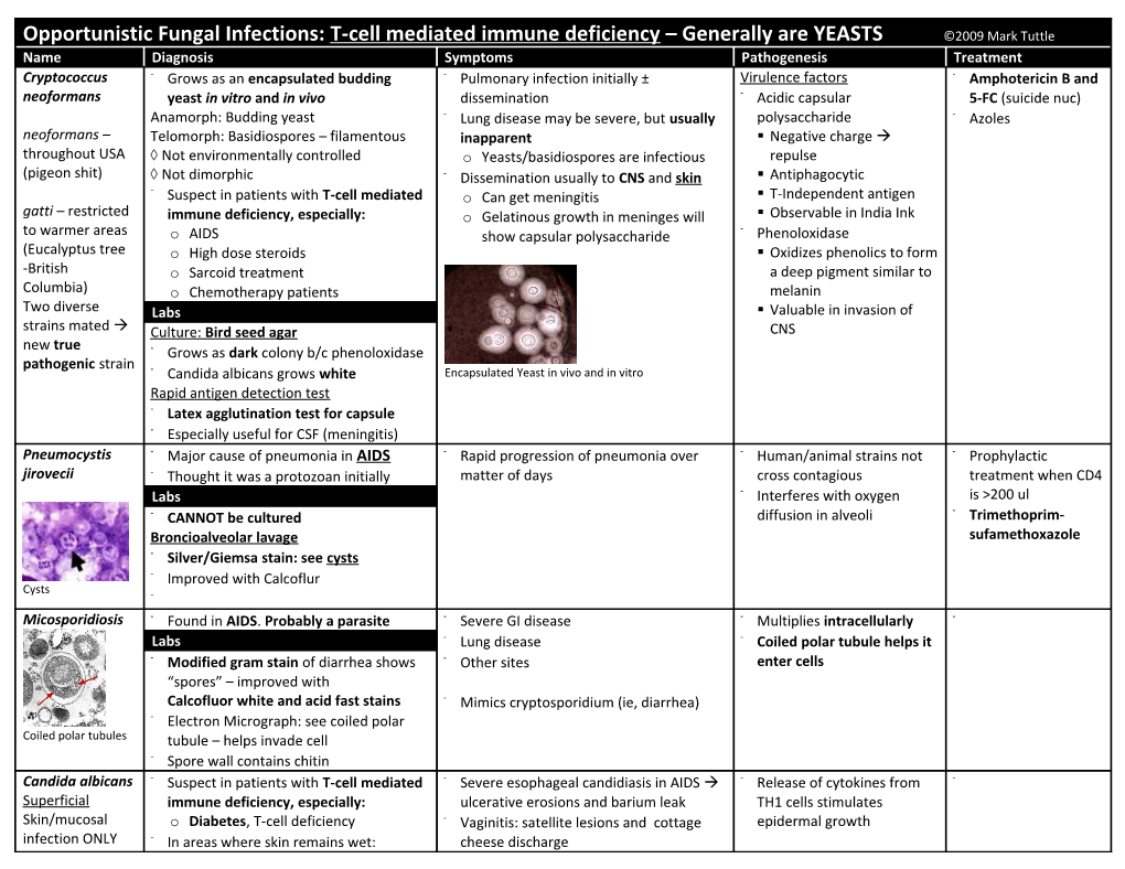 Cutaneous Fungal Infections