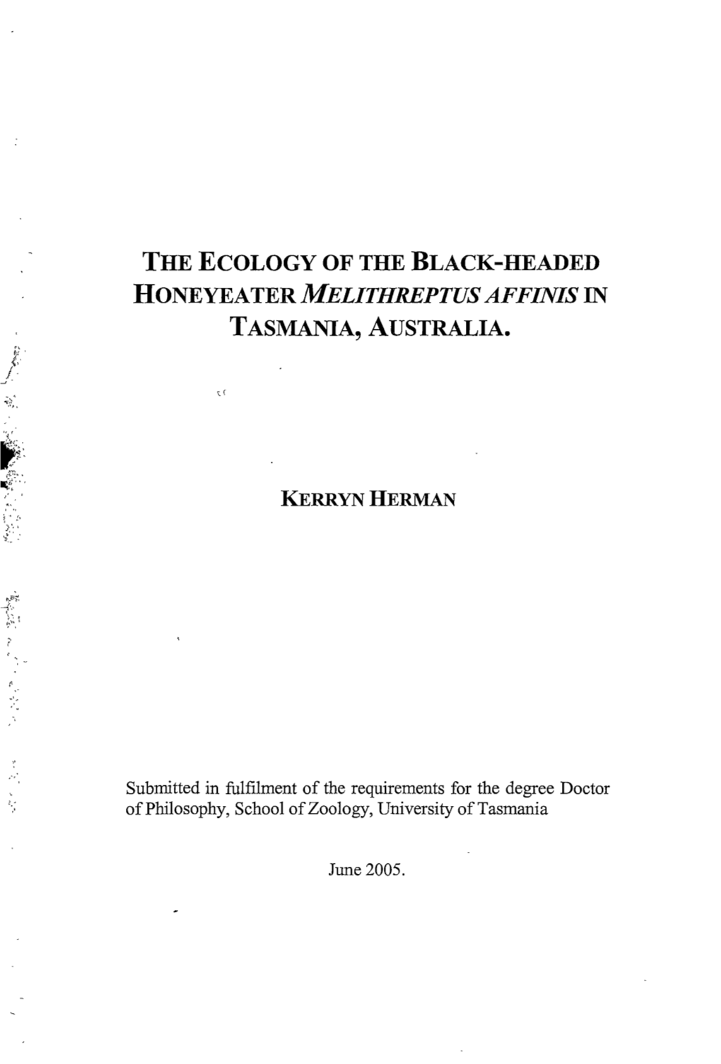 The Ecology of the Black-Headed Honeyeater Melithreptus Affinis in Tasmania, Australia