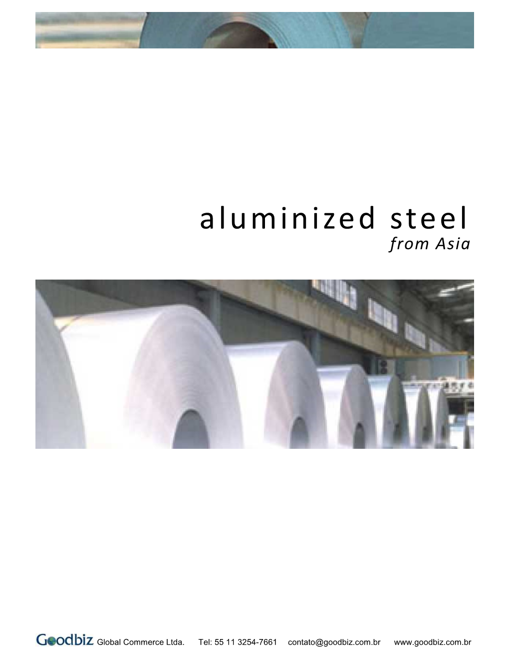 Aluminized Steel from Asia