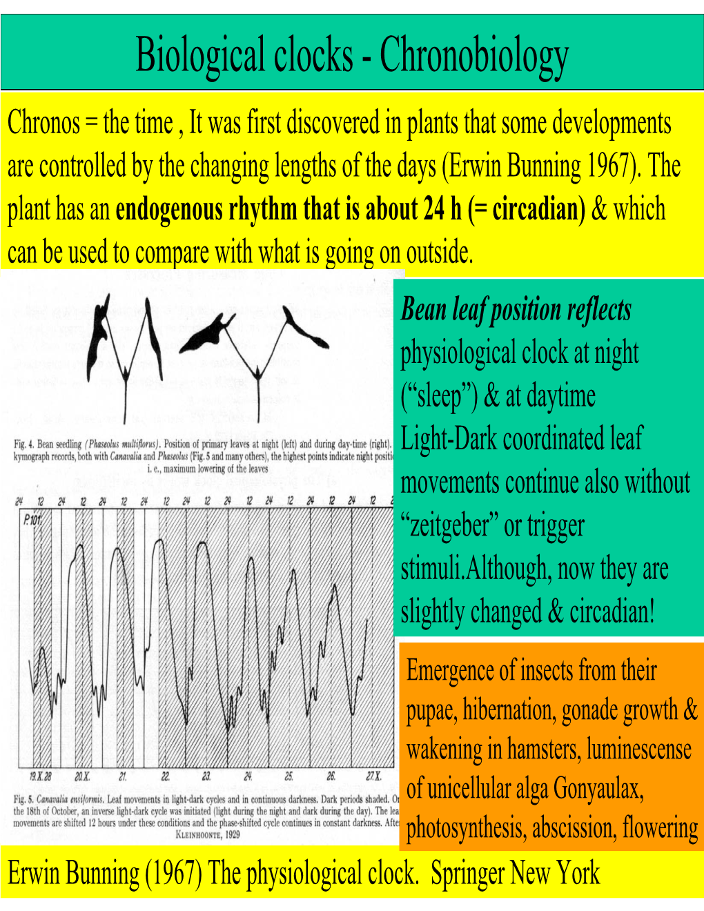 Biological Clocks