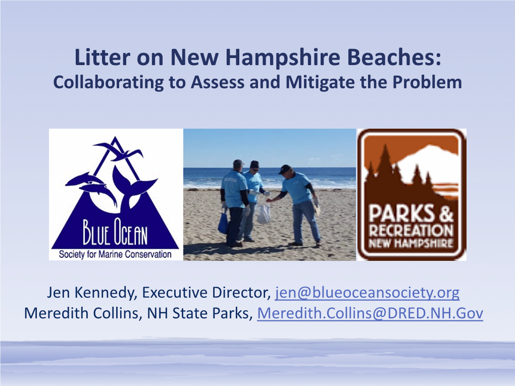 Litter on New Hampshire Beaches: Collaborating to Assess and Mitigate the Problem