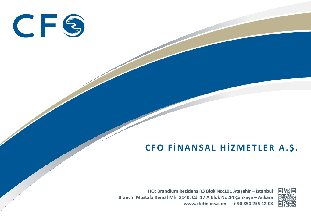 Cfo Fi̇nansal Hi̇zmetler A.Ş