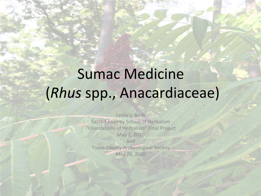 Sumac Medicine (Rhus Spp., Anacardiaceae)