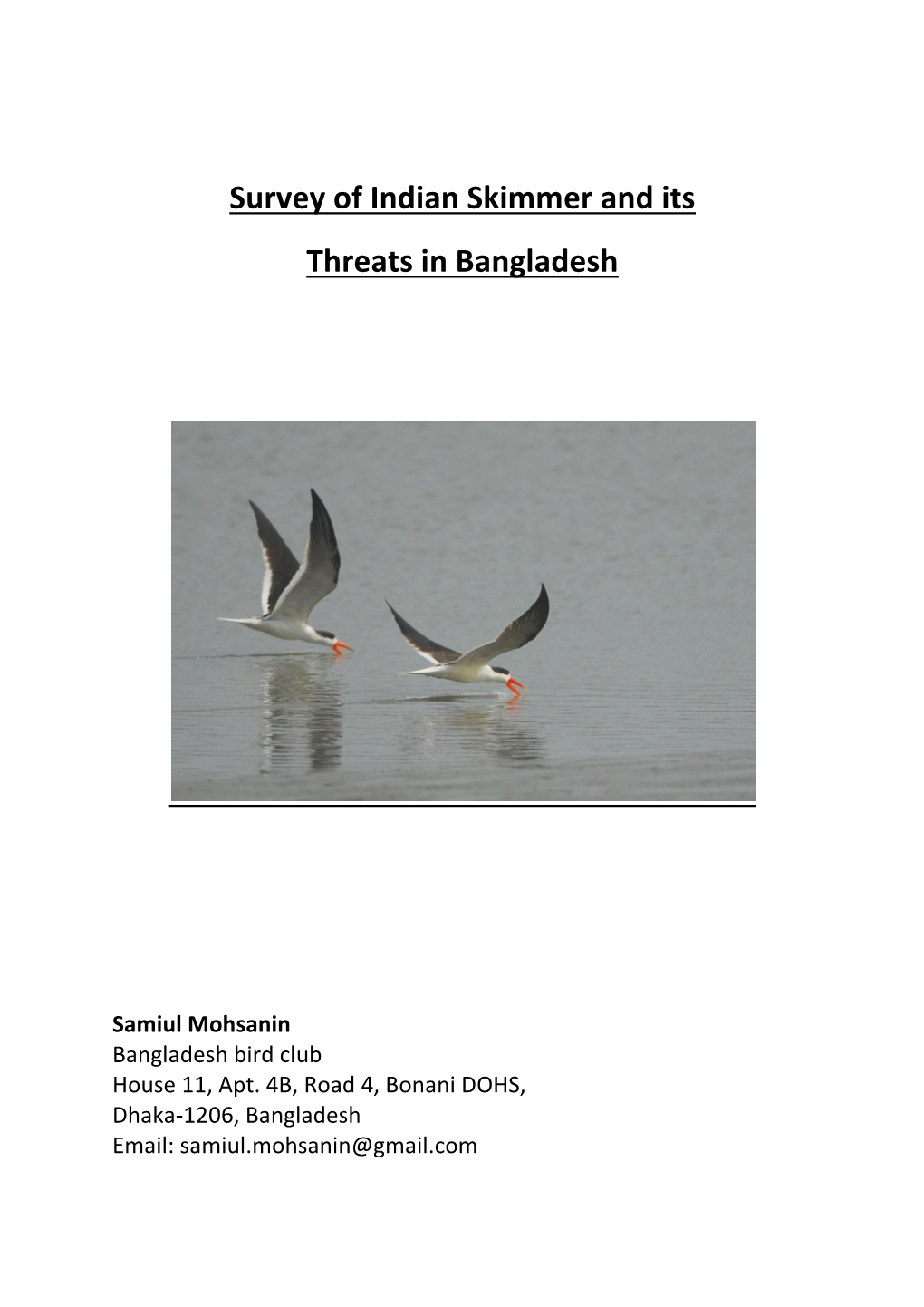 P962 Survey of Indian Skimmer and Its Threats in Bangladesh