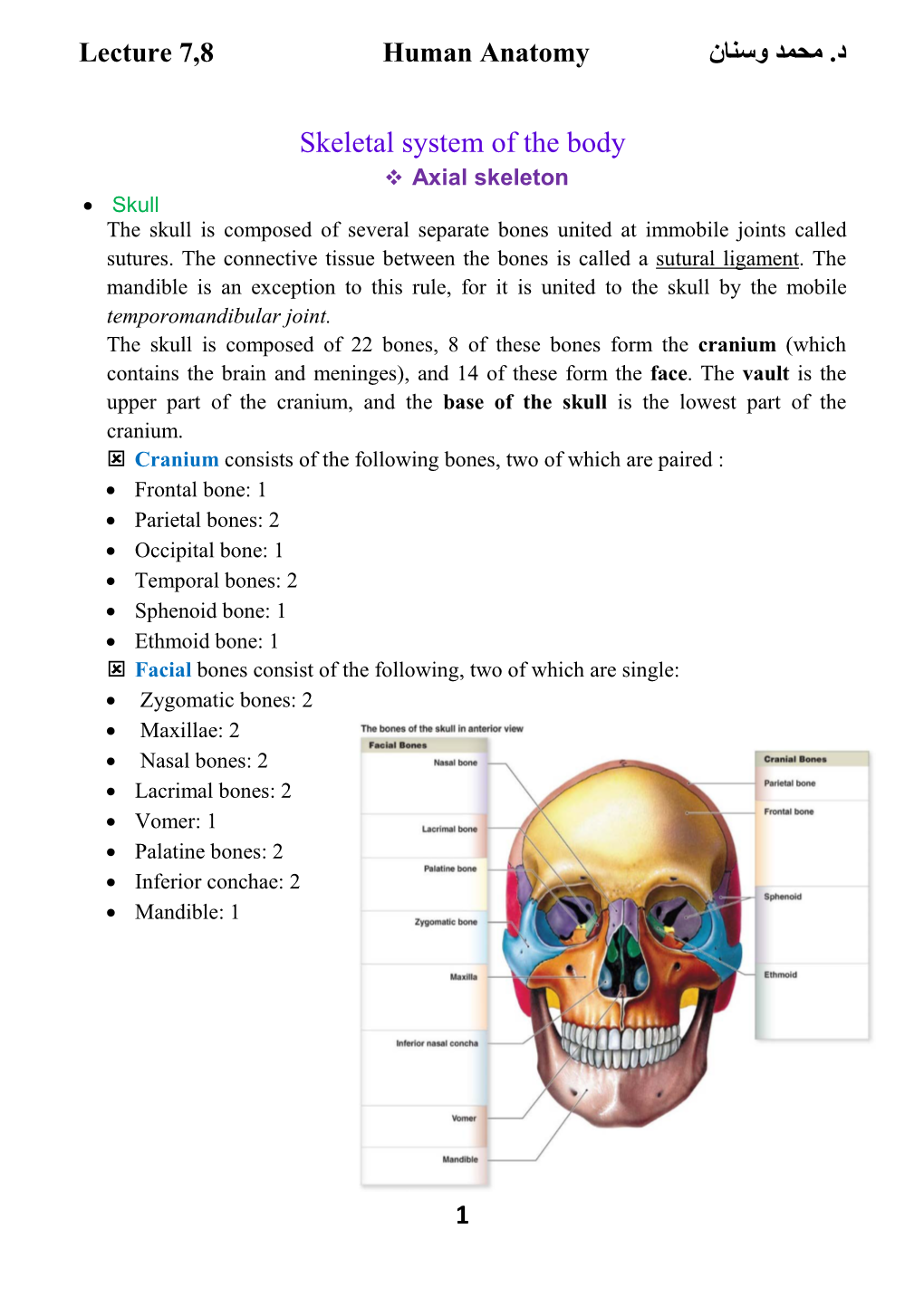 Frontal Bone