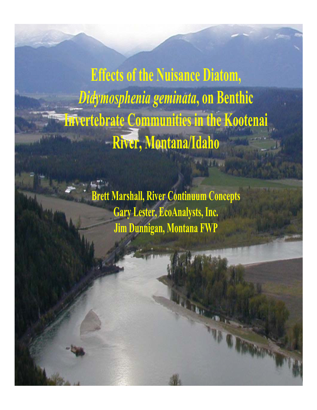 Effects of the Nuisance Diatom, Didymosphenia Geminata, on Benthic Invertebrate Communities in the Kootenai River, Montana/Idaho