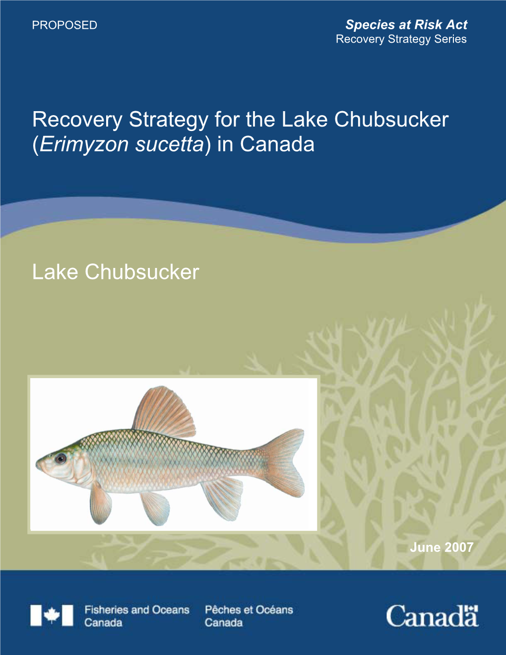 Recovery Strategy for the Lake Chubsucker (Erimyzon Sucetta) in Canada