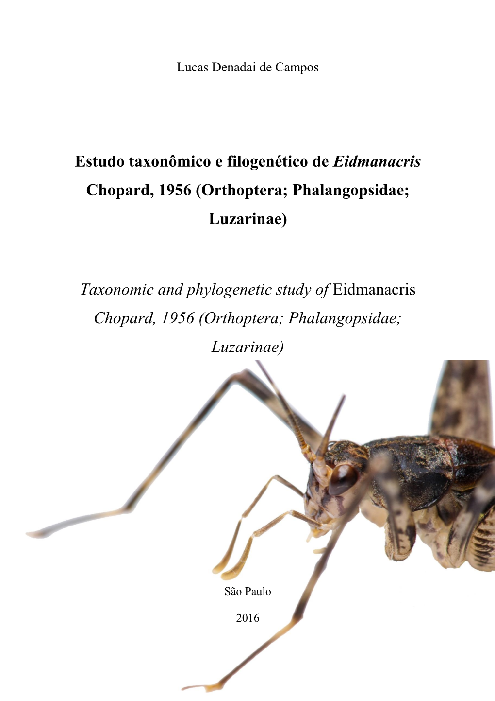 Orthoptera; Phalangopsidae; Luzarinae)
