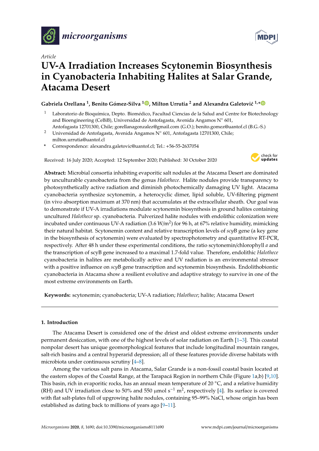 UV-A Irradiation Increases Scytonemin Biosynthesis in Cyanobacteria Inhabiting Halites at Salar Grande, Atacama Desert