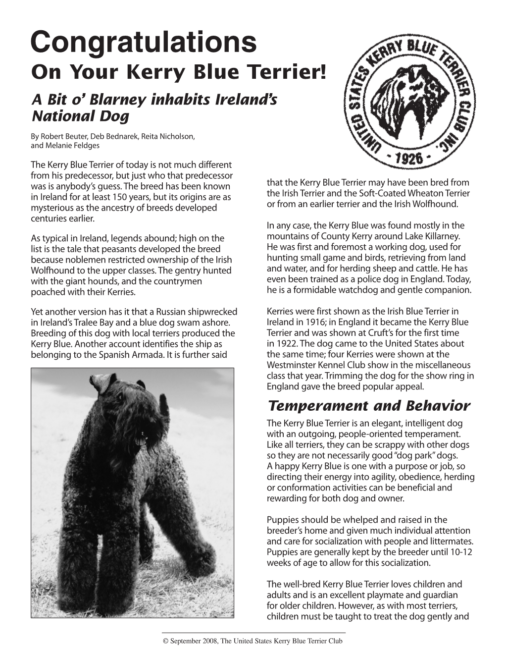 Congratulations on Your Kerry Blue Terrier! a Bit O’ Blarney Inhabits Ireland’S National Dog