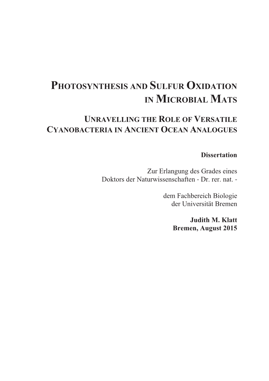 Photosynthesis and Sulfur Oxidation in Microbial Mats