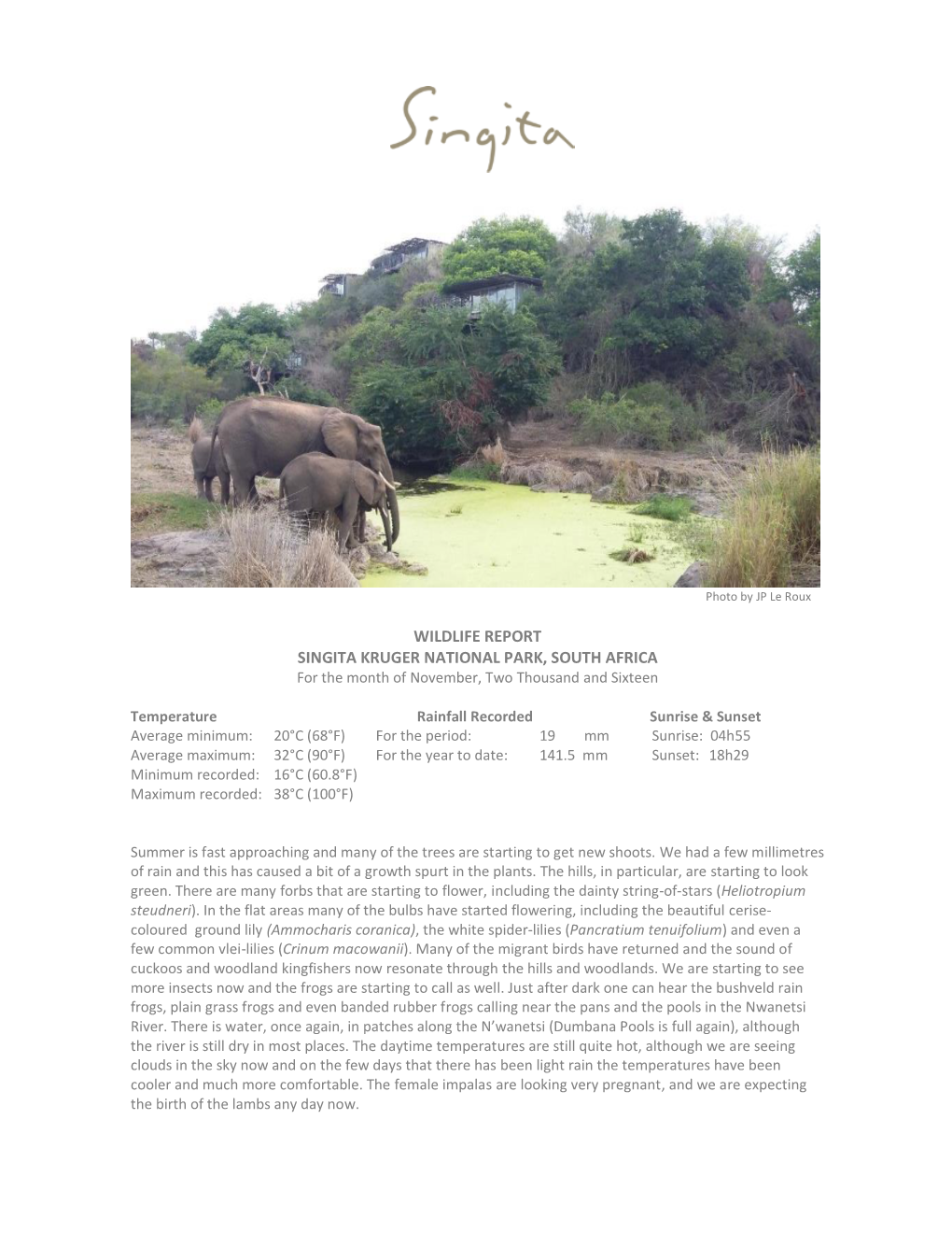 WILDLIFE REPORT SINGITA KRUGER NATIONAL PARK, SOUTH AFRICA for the Month of November, Two Thousand and Sixteen