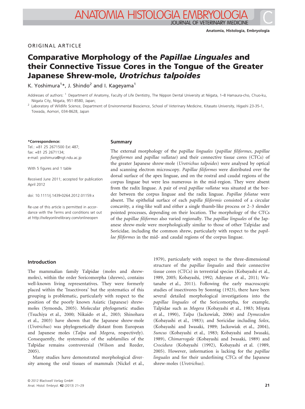 Comparative Morphology of the Papillae Linguales and Their Connective Tissue Cores in the Tongue of the Greater Japanese Shrew-Mole, Urotrichus Talpoides K