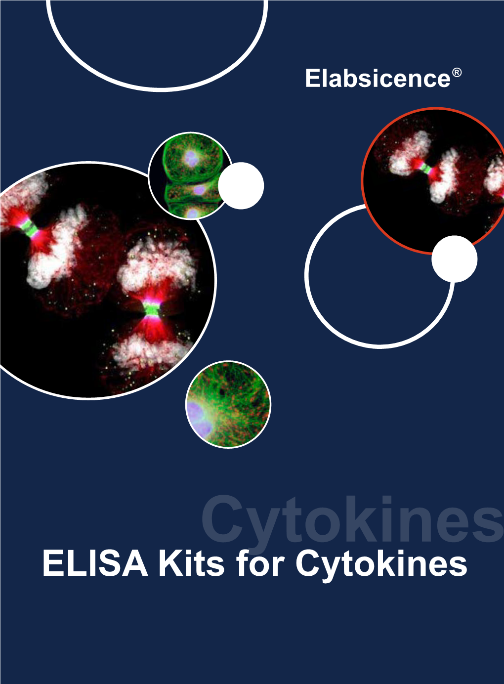 ELISA Kits for Cytokines