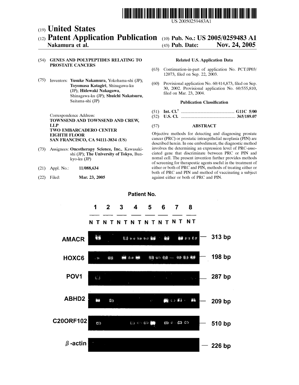 (12) Patent Application Publication (10) Pub. No.: US 2005/0259483 A1 Nakamura Et Al