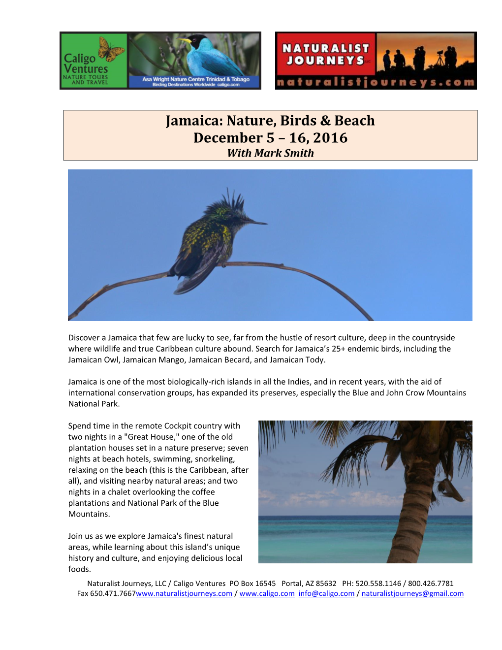 Jamaica: Nature, Birds & Beach December 5 – 16, 2016 with Mark Smith