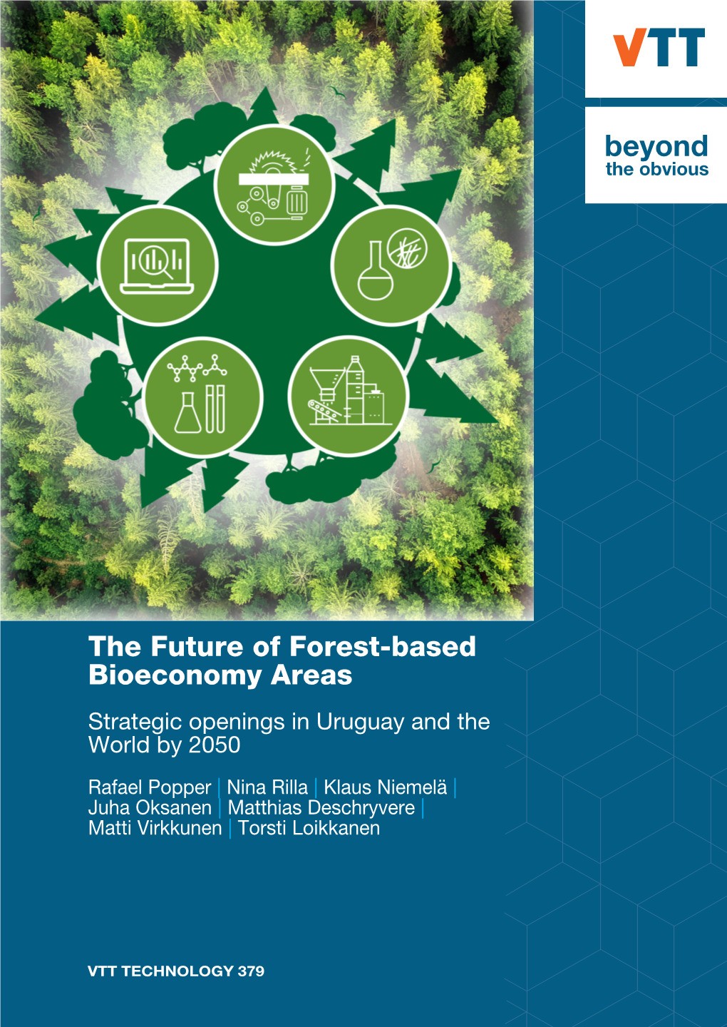 VTT Technology 379: the Future of Forest-Based Bioeconomy Areas