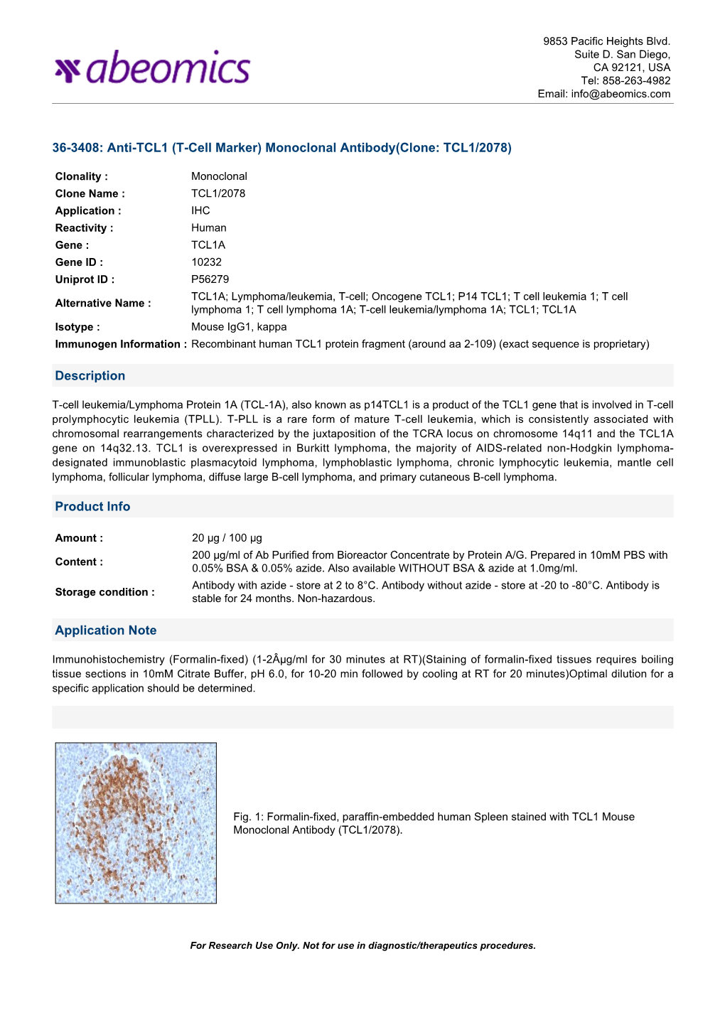 Monoclonal Antibody(Clone: TCL1/2078)