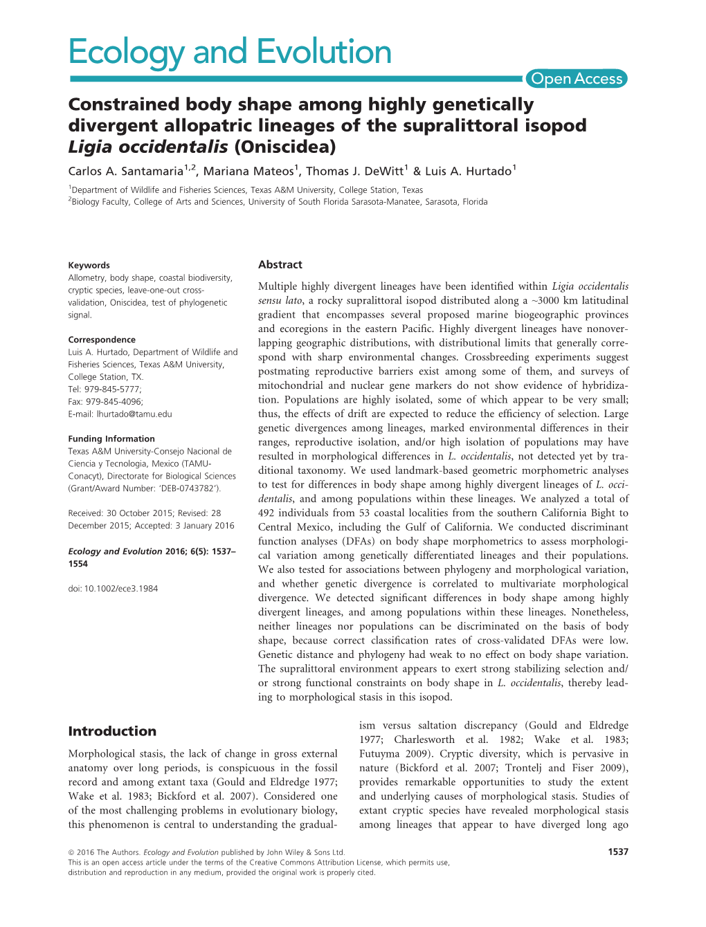 Constrained Body Shape Among Highly Genetically Divergent Allopatric Lineages of the Supralittoral Isopod Ligia Occidentalis (Oniscidea) Carlos A